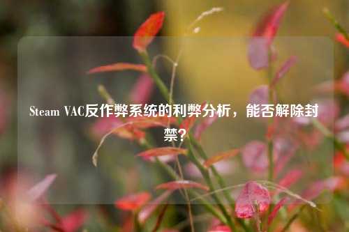 Steam VAC反作弊系统的利弊分析,能否解除封禁?