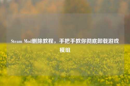 Steam Mod删除教程，手把手教你彻底卸载游戏模组