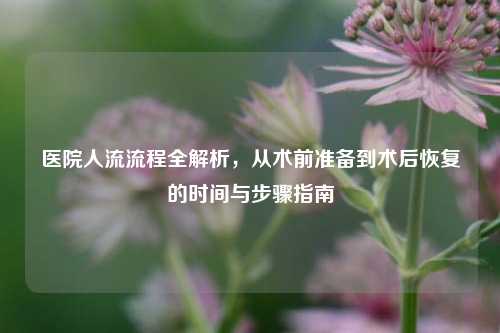 医院人流流程全解析,从术前准备到术后恢复的时间与步骤指南