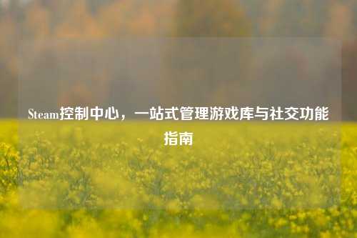 Steam控制中心，一站式管理游戏库与社交功能指南