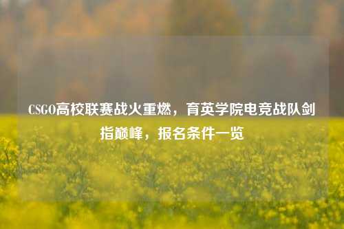 CSGO高校联赛战火重燃,育英学院电竞战队剑指巅峰,报名条件一览