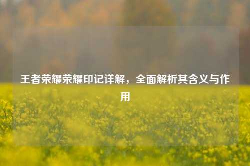 王者荣耀荣耀印记详解,全面解析其含义与作用