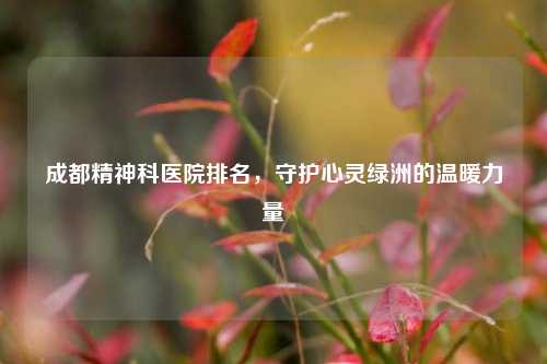 成都精神科医院排名，守护心灵绿洲的温暖力量