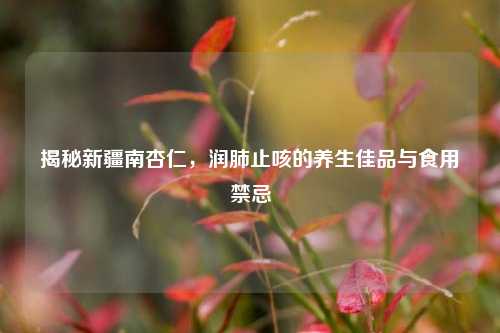 揭秘新疆南杏仁，润肺止咳的养生佳品与食用禁忌