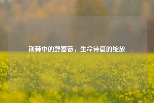 荆棘中的野蔷薇,生命诗篇的绽放