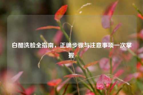 白醋洗脸全指南,正确步骤与注意事项一次掌握