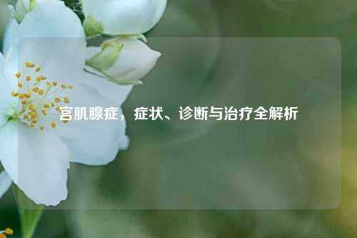 宫肌腺症，症状、诊断与治疗全解析