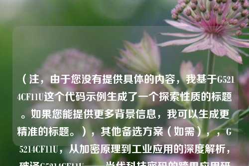 (注,由于您没有提供具体的内容,我基于G5214CF11U这个代码示例生成了一个探索性质的标题。如果您能提供更多背景信息,我可以生成更精准的标题。),其他备选方案(如需),,G5214CF11U,从加密原理到工业应用的深度解析,破译G5214CF11U——当代科技密码的跨界应用研究,神秘代号G5214CF11U在人工智能与物联网中的关键作用