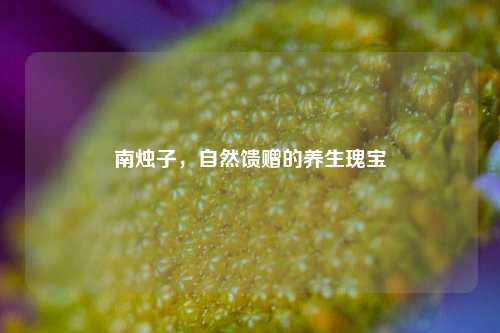 南烛子，自然馈赠的养生瑰宝