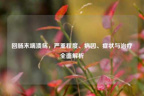回肠末端溃疡,严重程度、病因、症状与治疗全面解析