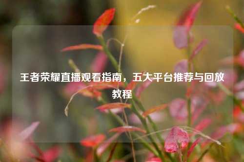 王者荣耀直播观看指南，五大平台推荐与回放教程