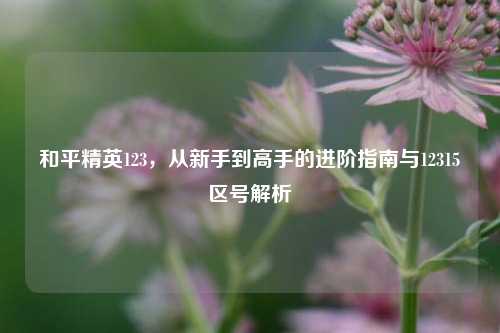 和平精英123，从新手到高手的进阶指南与12315区号解析