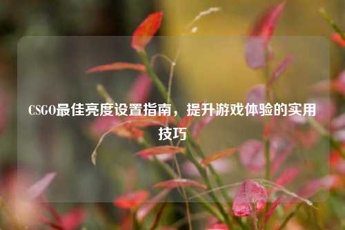 CSGO最佳亮度设置指南，提升游戏体验的实用技巧
