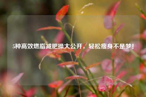 5种高效燃脂减肥操大公开，轻松瘦身不是梦！