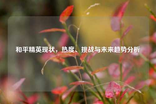 和平精英现状,热度、挑战与未来趋势分析