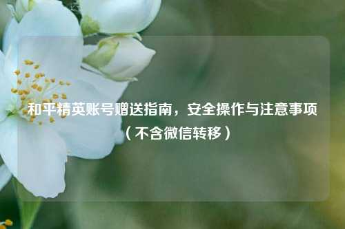 和平精英账号赠送指南，安全操作与注意事项（不含微信转移）