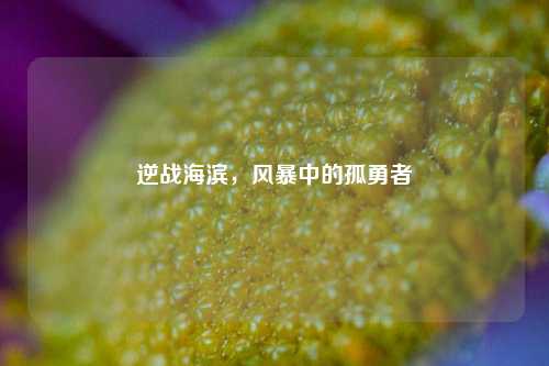 逆战海滨,风暴中的孤勇者