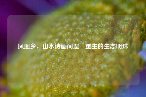 凤凰乡,山水诗画间涅槃重生的生态明珠