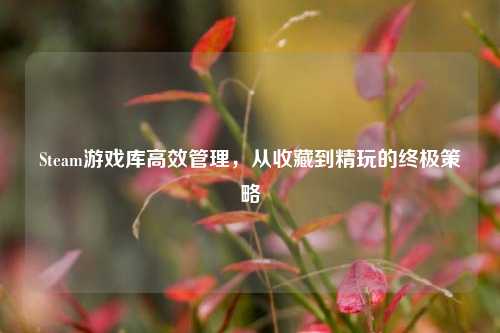 Steam游戏库高效管理，从收藏到精玩的终极策略