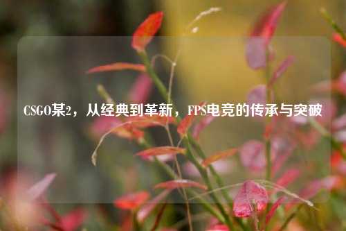 CSGO某2，从经典到革新，FPS电竞的传承与突破