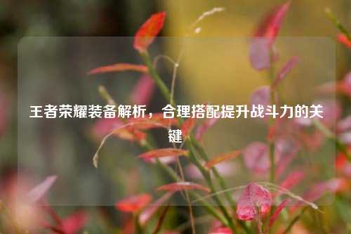 王者荣耀装备解析，合理搭配提升战斗力的关键