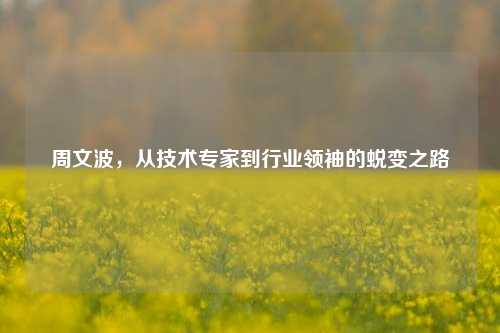 周文波，从技术专家到行业领袖的蜕变之路