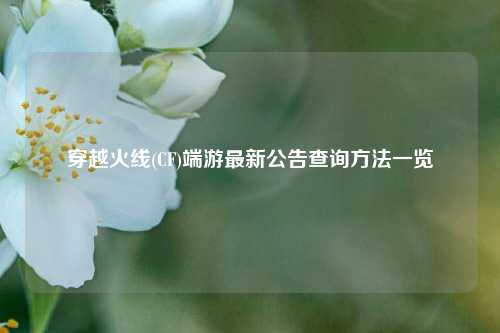 穿越火线(CF)端游最新公告查询方法一览