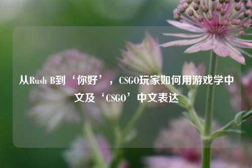 从Rush B到‘你好’,CSGO玩家如何用游戏学中文及‘CSGO’中文表达