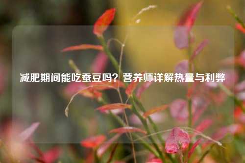 减肥期间能吃蚕豆吗？营养师详解热量与利弊
