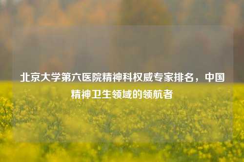 北京大学第六医院精神科权威专家排名，中国精神卫生领域的领航者