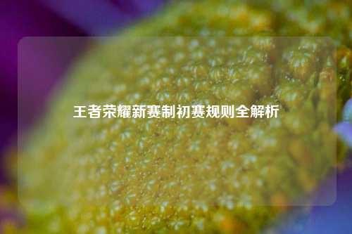 王者荣耀新赛制初赛规则全解析