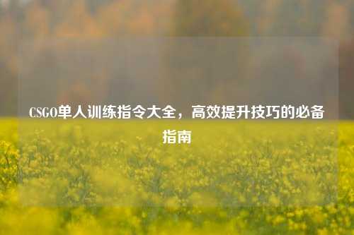 CSGO单人训练指令大全,高效提升技巧的必备指南