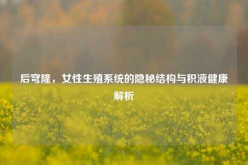 后穹隆,女性生殖系统的隐秘结构与积液健康解析