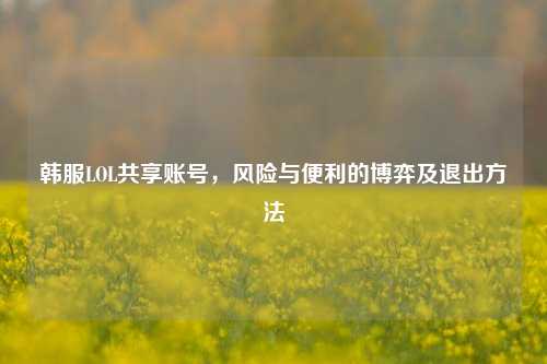 韩服LOL共享账号，风险与便利的博弈及退出方法