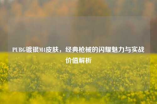 PUBG镀银M4皮肤,经典枪械的闪耀魅力与实战价值解析