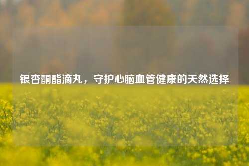 银杏酮酯滴丸,守护心脑血管健康的天然选择