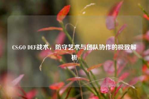 CS:GO DEF战术，防守艺术与团队协作的极致解析