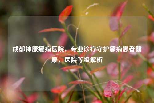 成都神康癫痫医院,专业诊疗守护癫痫患者健康,医院等级解析