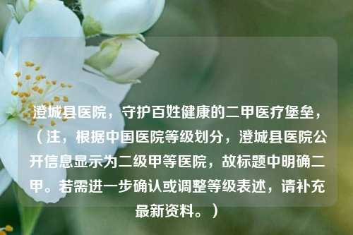 澄城县医院,守护百姓健康的二甲医疗堡垒,(注,根据中国医院等级划分,澄城县医院公开信息显示为二级甲等医院,故标题中明确二甲。若需进一步确认或调整等级表述,请补充最新资料。)