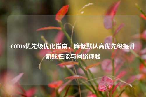 COD16优先级优化指南，降低默认高优先级提升游戏性能与网络体验