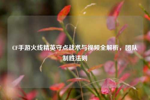 CF手游火线精英守点战术与视频全解析，团队制胜法则