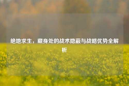 绝地求生,藏身处的战术隐蔽与战略优势全解析