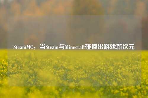 SteamMC,当Steam与Minecraft碰撞出游戏新次元