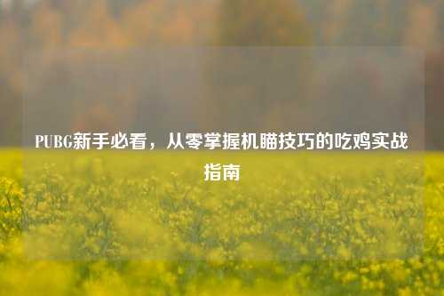 PUBG新手必看，从零掌握机瞄技巧的吃鸡实战指南