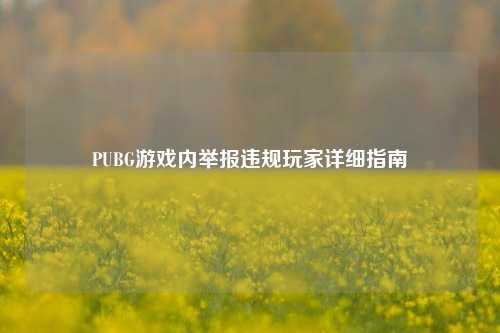 PUBG游戏内举报违规玩家详细指南