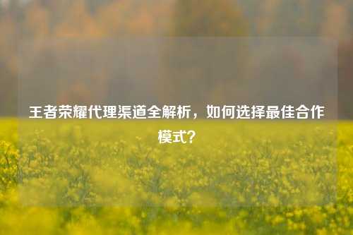 王者荣耀代理渠道全解析，如何选择最佳合作模式？