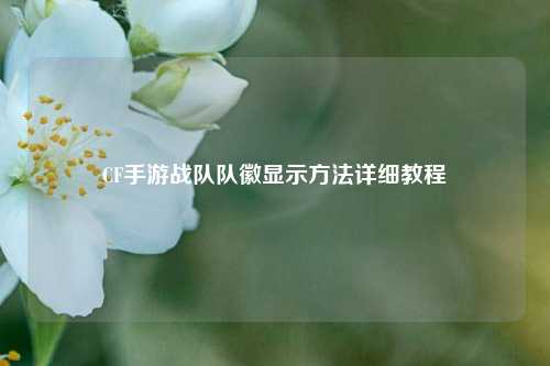 CF手游战队队徽显示方法详细教程