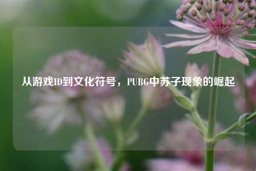 从游戏ID到文化符号，PUBG中苏子现象的崛起