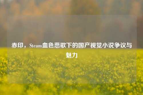 赤印，Steam血色悲歌下的国产视觉小说争议与魅力