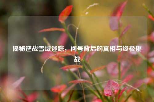 揭秘逆战雪域迷踪,问号背后的真相与终极挑战